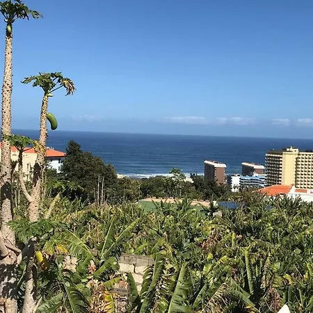 Casa Barreto. Paraíso En Puerto De La Cruz. *